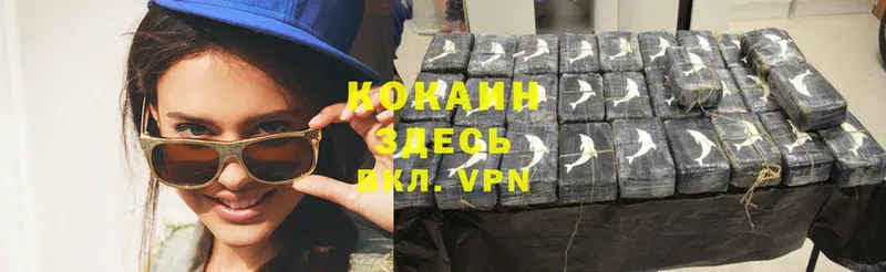 Cocaine Эквадор  Новороссийск 