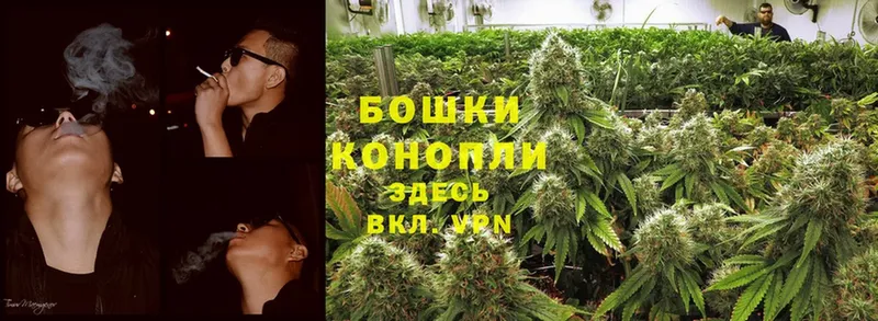 Бошки Шишки White Widow  наркотики  Новороссийск 